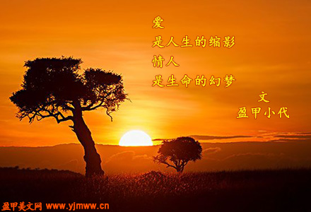 爱与人生（1）