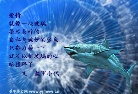 爱情就像一块玻璃