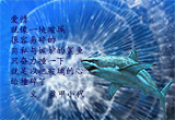 爱情就像一块玻璃