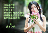 初恋就像一枚青橄榄（1）