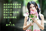 初恋如青橄榄（图集）