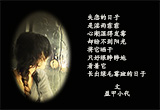 失恋的日子（8）