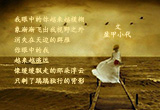 再见，My Love（7）