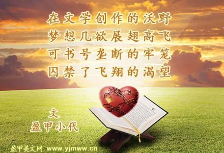 我的书号我的殇
