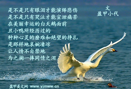 丑小鸭，别哭（1）