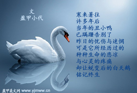 丑小鸭，别哭