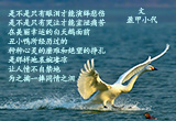 丑小鸭，别哭（1）