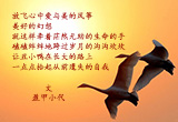 丑小鸭，别哭（3）