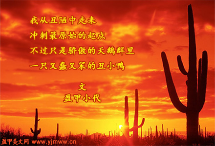 我的自白（1）