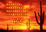 我的自白（1）