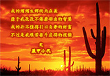 我的自白（4）