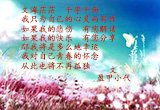 我的怀念将不再孤独