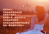 心如止水的女人（6）