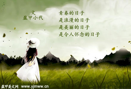 韶华不为少年留