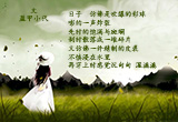 韶华不为少年留（15）