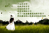 韶华不为少年留（4）