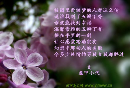 五瓣丁香