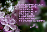 五瓣丁香（1）