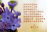 五瓣丁香（10）
