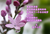 五瓣丁香（3）