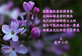 五瓣丁香（8）