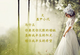 为什么（4）