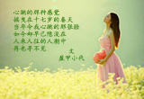 心跳的感觉（3）