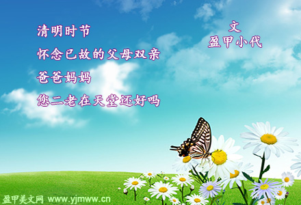 清明怀念父母双亲（1）