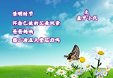 清明怀念父母（图集）