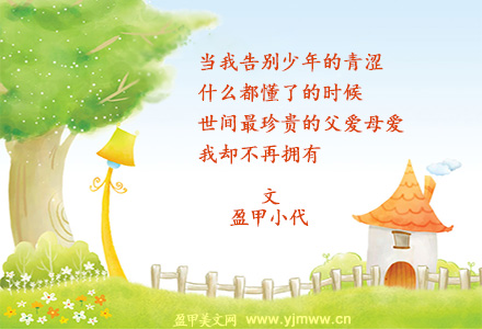 种在故居小园里的母爱（1）