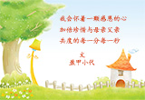 种在故居小园里的母爱（3）