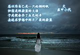 海和岸（图集）