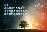 寂寞（2）