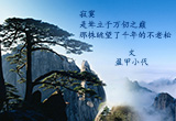 寂寞（图集）