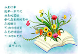 如果往事能像日记.图集