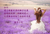 昨日（4）