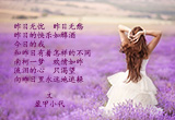 昨日（5）