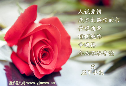 不忍卒读（1）