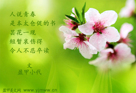 不忍卒读