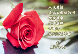 不忍卒读（1）