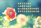 不忍卒读（2）
