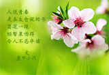 不忍卒读（图集）