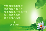 不忍卒读（6）