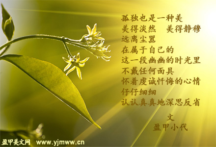 孤独之美（1）