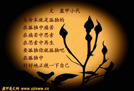 孤独之美