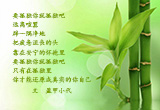 孤独之美（10）
