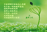 孤独之美（5）