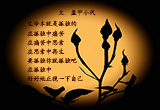 孤独之美（图集）