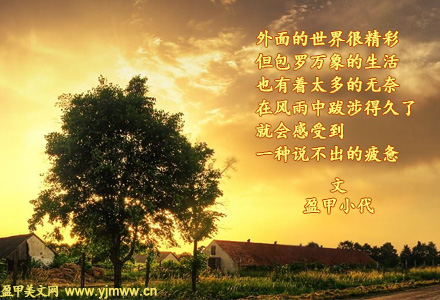 渴望感动（1）