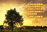 渴望感动（1）